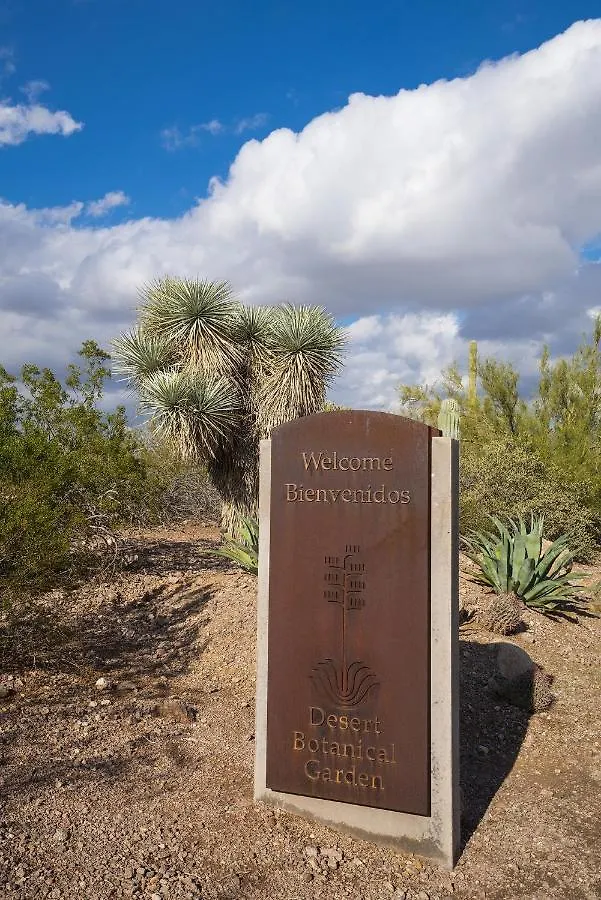 131 Fully Furnished, Amenities Galore Scottsdale 0*,